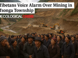 Tsonga Town Illegal Mining by CCP