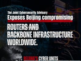China Cyber crimes