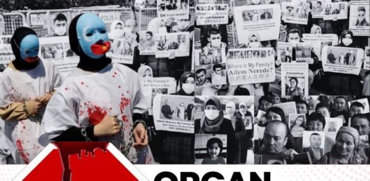 Organ Harvesting In China