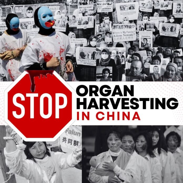 Organ Harvesting In China Organ Harvesting In China