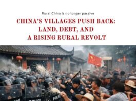 Rural China is no longer passive w