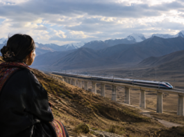 Iron Tracks and Distant Homelands: When the “Fuxing” Bullet Train Heads Toward Lhasa-A Tibetan Exile’s Reflection Qinghai Tibet railway